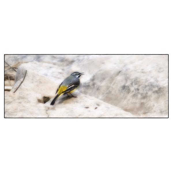 PHOTO84, CLUB, 84 , LUBERON